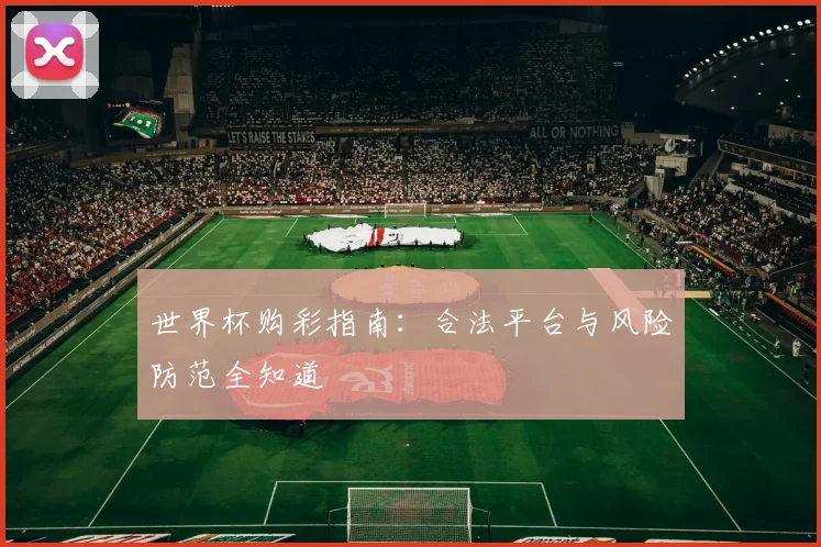 世界杯购彩指南：合法平台与风险防范全知道