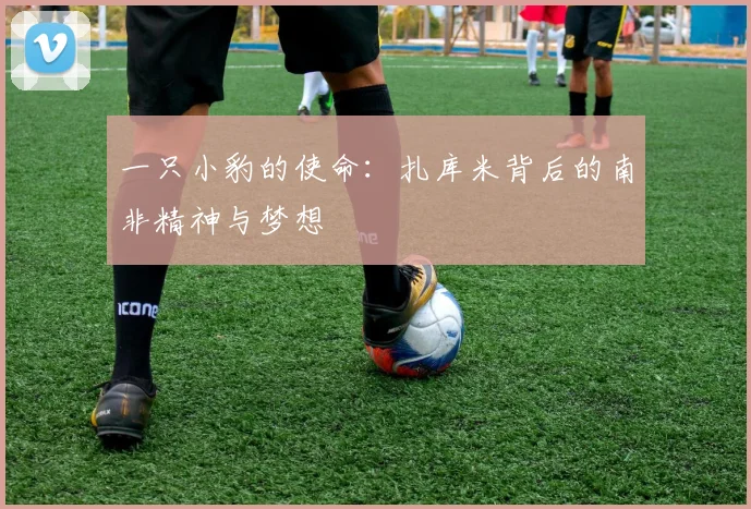 一只小豹的使命：扎库米背后的南非精神与梦想