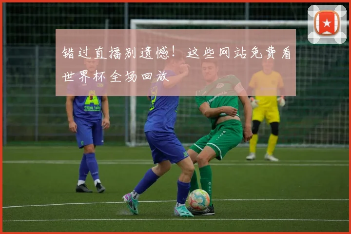 错过直播别遗憾！这些网站免费看世界杯全场回放