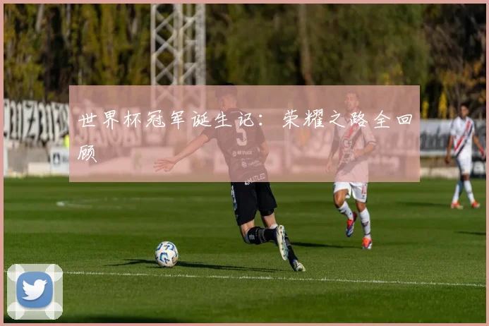 世界杯冠军诞生记：荣耀之路全回顾