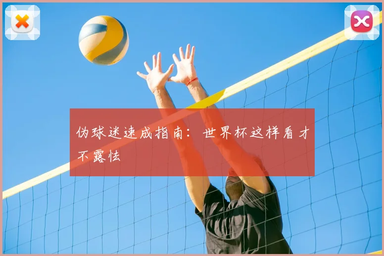 伪球迷速成指南：世界杯这样看才不露怯