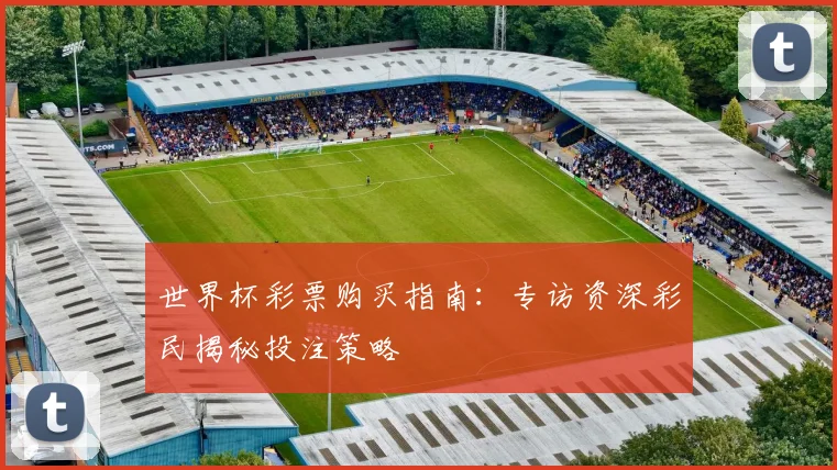 世界杯彩票购买指南：专访资深彩民揭秘投注策略