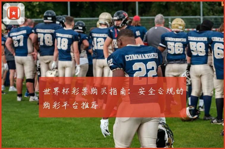 世界杯彩票购买指南：安全合规的购彩平台推荐