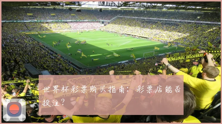 世界杯彩票购买指南：彩票店能否投注？