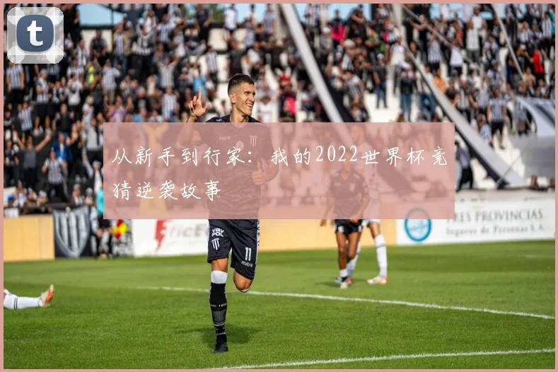 从新手到行家:我的2022世界杯竞猜逆袭故事