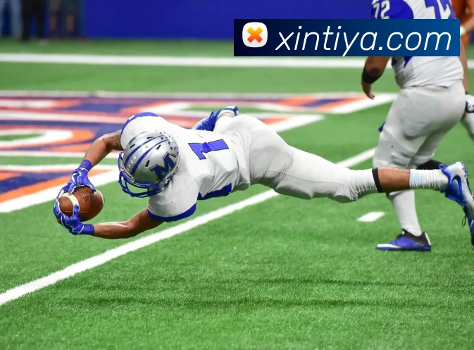 App Interface Preview