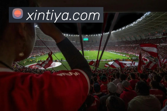 kaiyun网页版在线登录APP 封面图